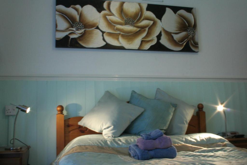 Devon View Guesthouse 스완지 객실 사진