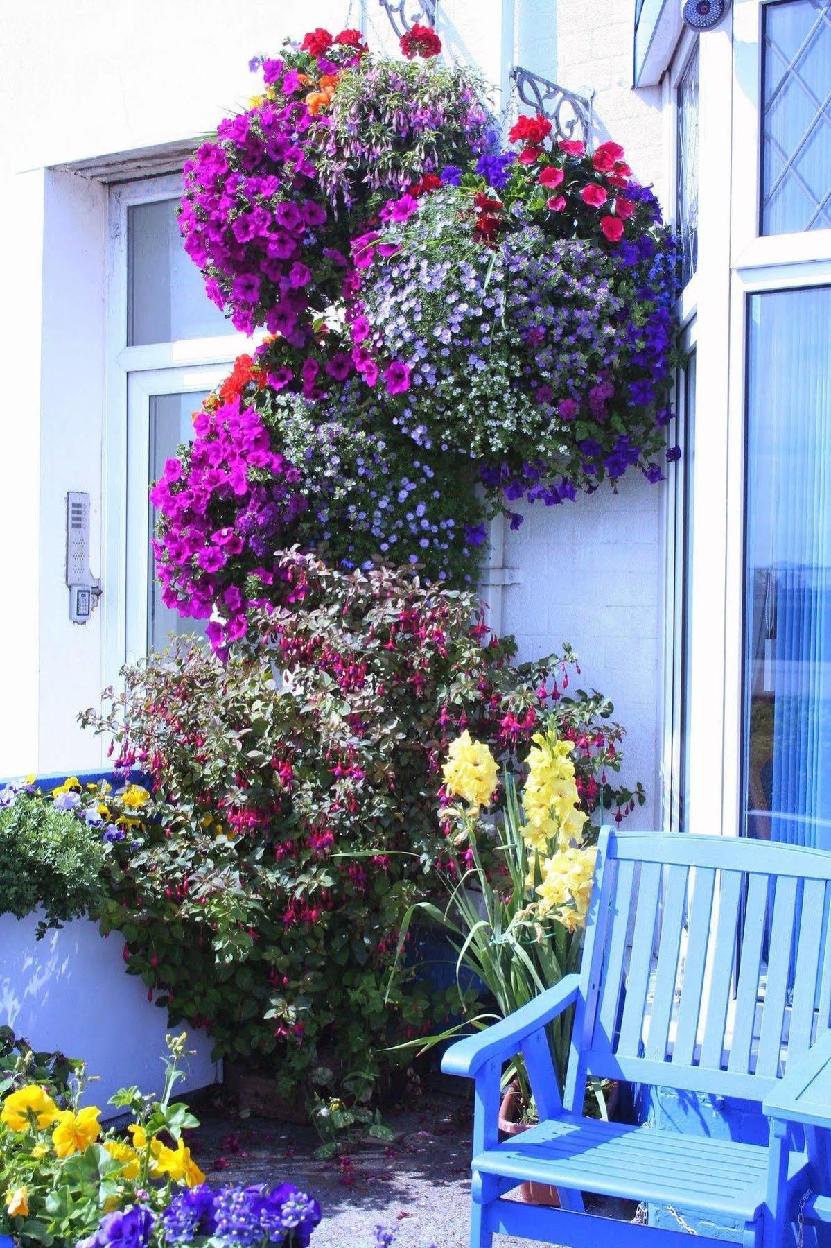 Devon View Guesthouse 스완지 외부 사진